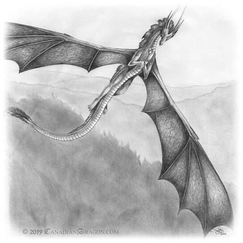 Dragon Drawing, Dragon Art, Dragon Flying, Pencil Drawing, Dragon ...