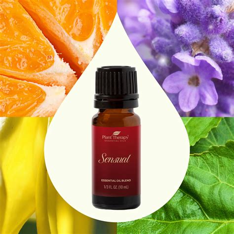 Sensual Essential Oil Blend Plant Therapy