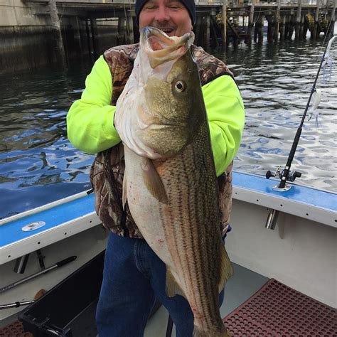 Pin on Sheepshead Bay Fishing