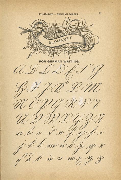 Mudbay Images Ornamental Antique Penmanship