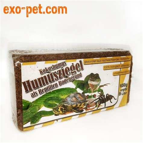 Vogelspinnen Wirbellose Terraristik | exo-pet