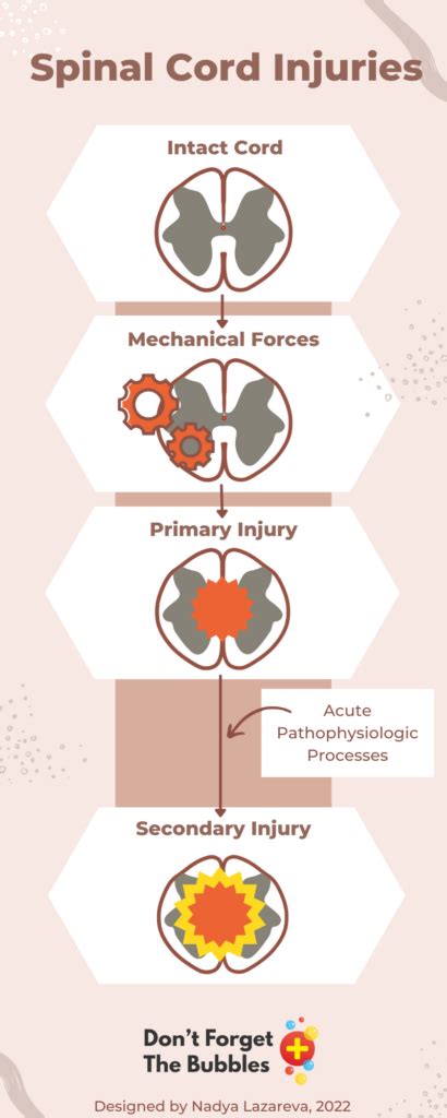 Spinal Cord Injuries Don T Forget The Bubbles