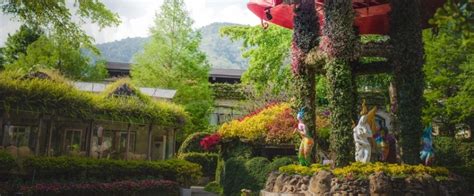 Farm Introduction-Tai-Yi Red Maple Resort