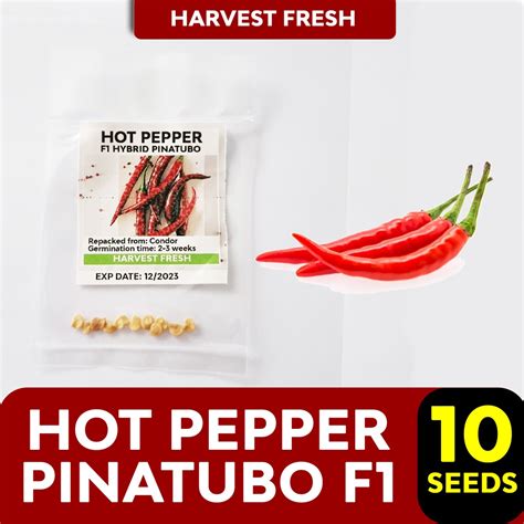 AcPyvzuipromotion Activity Red Hot Chili Pepper Sili Panigang Jalapeno Vegetable Seeds Taiwan