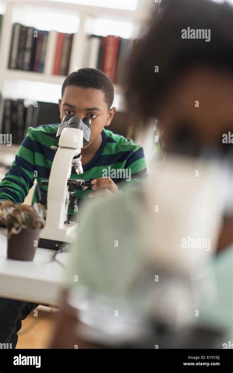 Black Students Using Microscopes In Science Lab Stock Photo Alamy