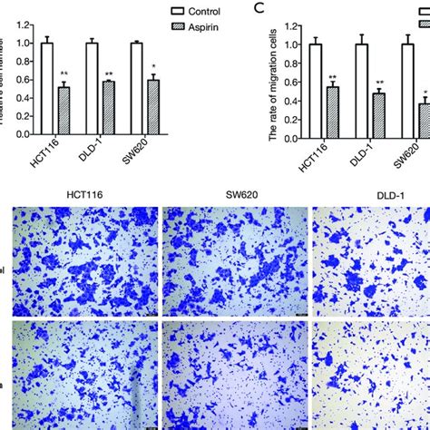 Aspirin Inhibits Colon Cancer Cell Proliferation And Metastasis A