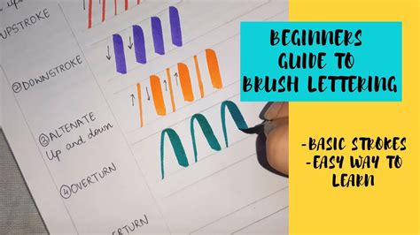 Beginners Guide To Brush Lettering Basic Strokes Calligraphy And Hand Lettering For Beginners Part