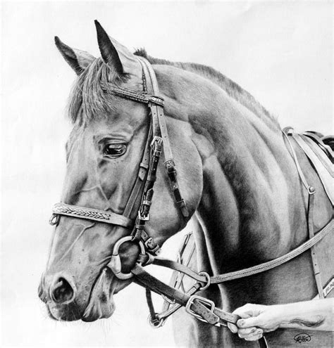 Race Day Size 41cm X 41cm Medium Graphite On Paper By Bob Fox Foto