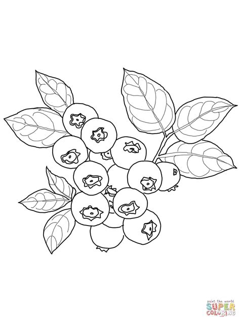 Berries Coloring Pages Coloring Pages