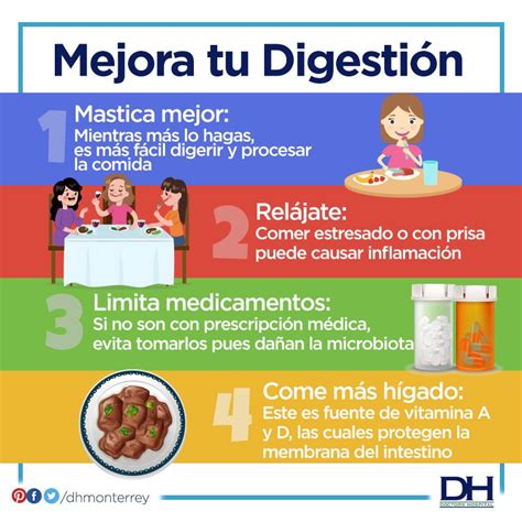 La digestión es fundamental para mantener un cuerpo sano por eso te