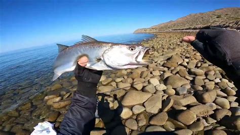 Permiso de pesca deportiva en Puerto Peñasco permisodepesca