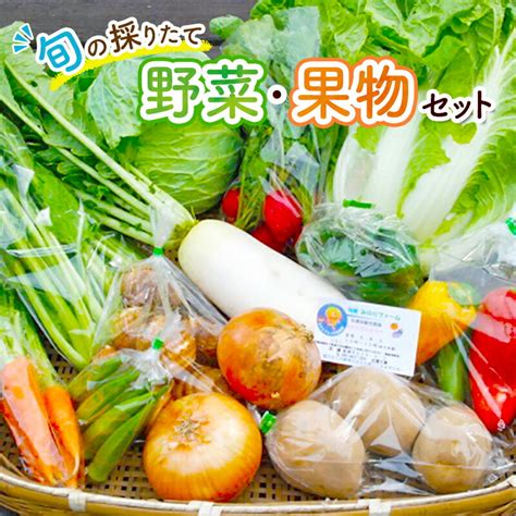 【楽天市場】【ふるさと納税】野菜セット 旬の採りたて 野菜 フルーツ 詰め合わせ セット 野菜詰め合わせ フルーツ詰め合わせ フルーツセット