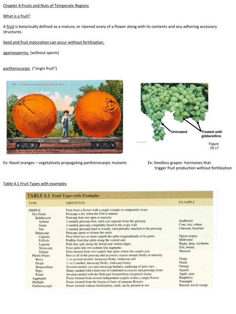 Pdf Chapter Fruits And Nuts Of Temperate Regions What Is A Fruit