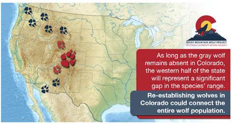 Colorado Wolf Reintroduction International Wolf Center