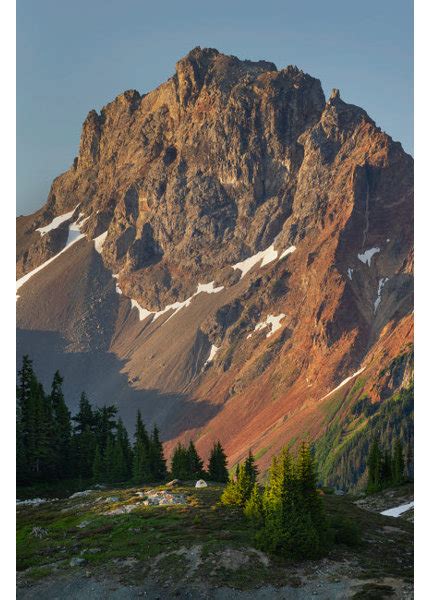 Loon Peak Backcountry Campsite Yellow Aster Butte Basin Mount Baker