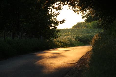 Sonnenlicht Hans J Rgen B Ckmann Flickr