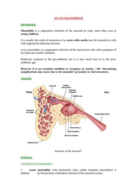 Mastoiditis Anatomy - Anatomical Charts & Posters