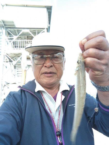 境水道のキス釣査 鳥取 境水道岸壁 投げ釣り キス 陸っぱり 釣り・魚釣り 釣果情報サイト カンパリ