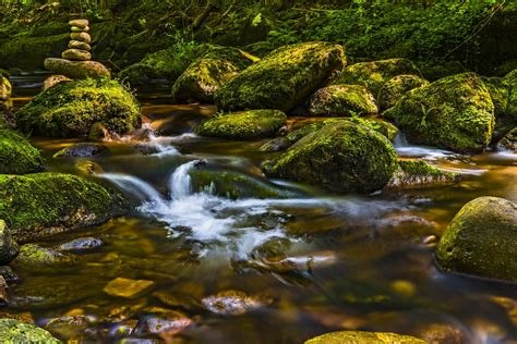 River Stream · Free Stock Photo