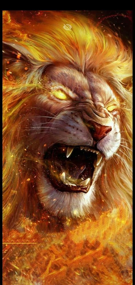 Fire Lion Angry Lion Hd Phone Wallpaper Peakpx