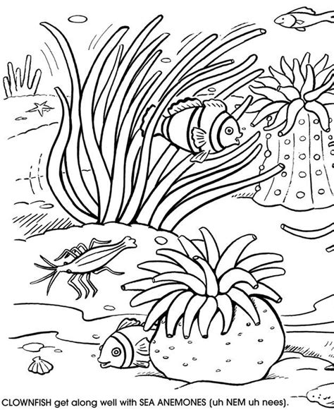 Coral Reefs Coloring Pages - Coloring Home