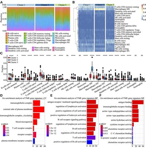 Signature And Functional Annotation Of The Tme Clusters A Relative