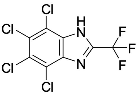 4 5 6 7 Tetrachloro 2 Trifluoromethyl 1H Benzimidazole