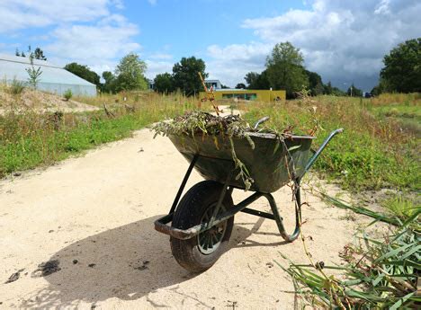 Freiwillige Hortus Botanicus Haren Groningen