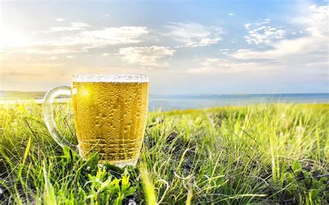 Herunterladen hintergrundbild bier glas getränke sonne mit einer