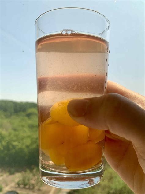 Homemade Kompot Recipe: A Refreshing Sugar-Free Fruit Drink - How To ...