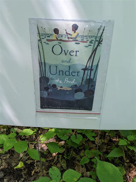 Route 8 Mt Washington: Updated Schedule and Transit Map 3