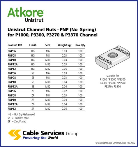 Unistrut Channel Nuts Pnp No Spring For P1000 P3300 P3270 And P3370