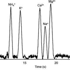 Electrophoretic Analysis And Conductometric Detection Of NH 4 K