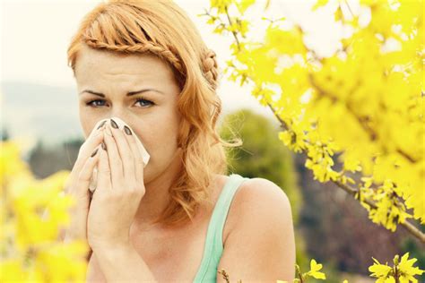 Allergie Di Primavera Come Combatterle Naturalmente