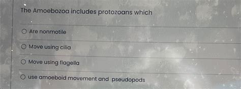 Solved The Amoebozoa includes protozoans whichAre | Chegg.com