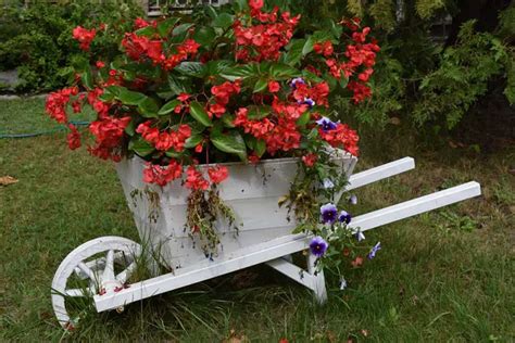 33 Wheelbarrow Planter Ideas For Your Garden Garden Lovers Club