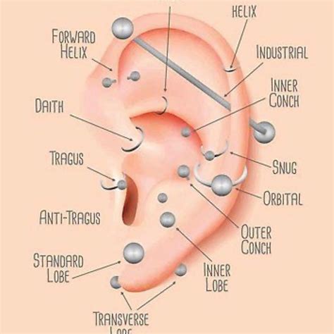 Types Of Ear Piercing Chart Ear Piercing Chart For Different