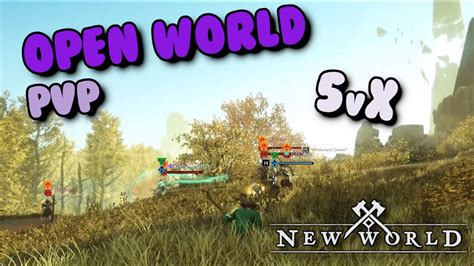 New World Pvp ⚔ 5 Vs X ⚔ Fire Staffrapier ⚔ Open World Faction Pvp