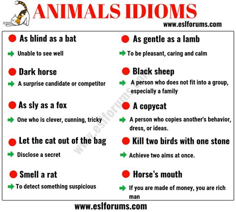 10 Animal Idioms & Phrases You Should Learn - ESL Forums