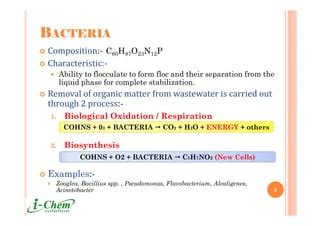 The world-of-activated-sludge | PPT