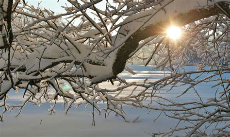 Bakgrundsbilder landskap träd natur gren kall vinter Sol vit