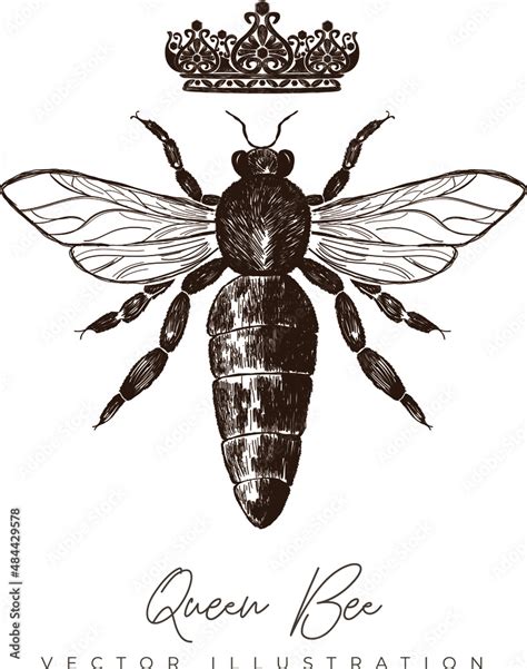 Queen Bee Vector Hand Drawing Stock Vektorgrafik Adobe Stock