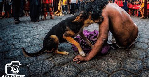 Un perrito de la calle se acerca a consolar a Jesús en Vía Crucis no