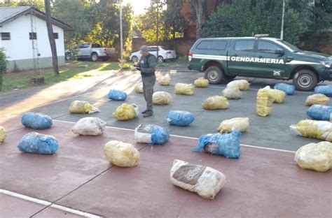 Decomisan 294 Kilos De Marihuana En Puerto Esperanza Actualidad Sur