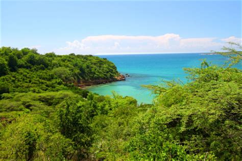 7 Stunning National Parks In Puerto Rico