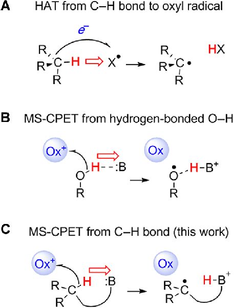 C H And O H Bond Cleavage By Removal Of A Proton Red Arrow And An