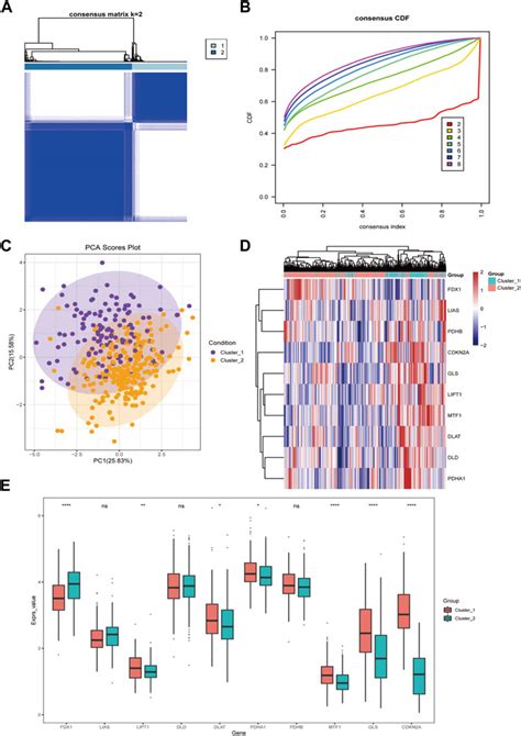 Frontiers Identification And Validation Of A Novel Cuproptosis