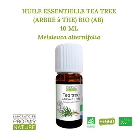 Tea Tree Ou Arbre The Ab Huile Essentielle Ml Melaleuca