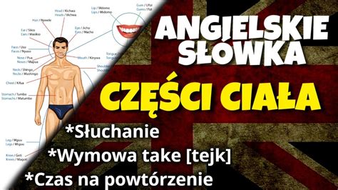 Anatomia Człowieka Po Angielsku