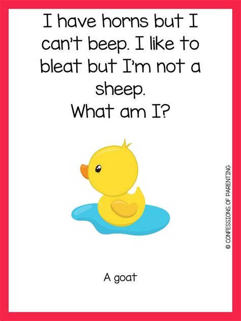 200 Best Animal Riddles That Will Leave You Laughing